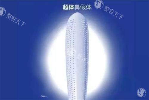 超体假体示意图.png