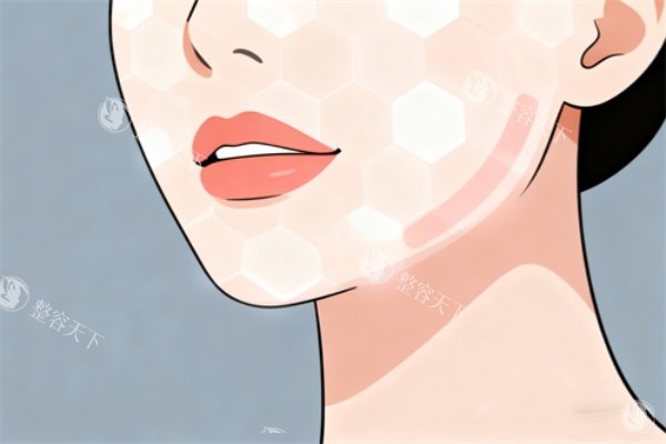 面部做美白卡通展示图.jpg