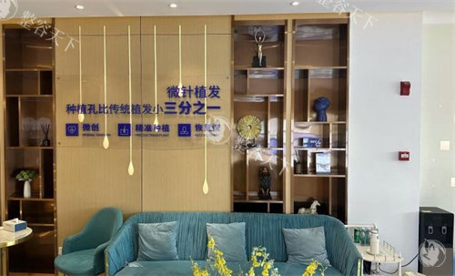 南京大麦微针植发