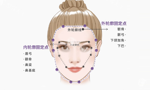 面部轮廓说明